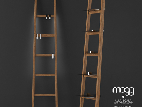 Modern Library Ladder Free