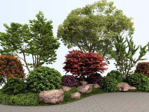 Modern landscape tree shrub sketch