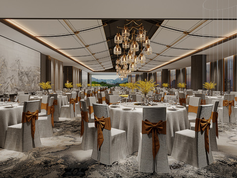 New Chinese Hotel Ballroom