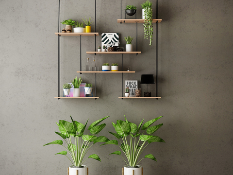 Modern hanging cabinet potted plant combination