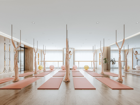 Modern Yoga Studio