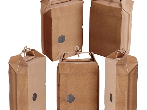 Modern Kraft Paper Bag