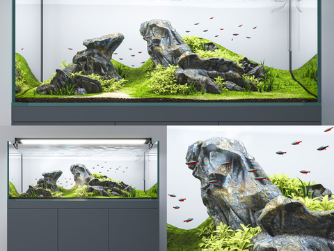 Modern Aquarium Fish Tank