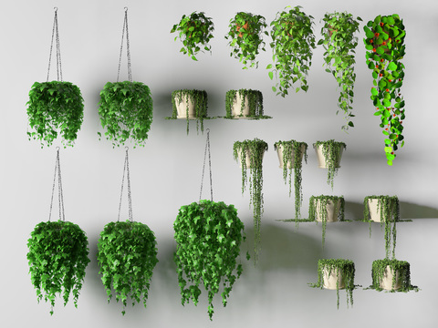 Modern plant hanging basket combination