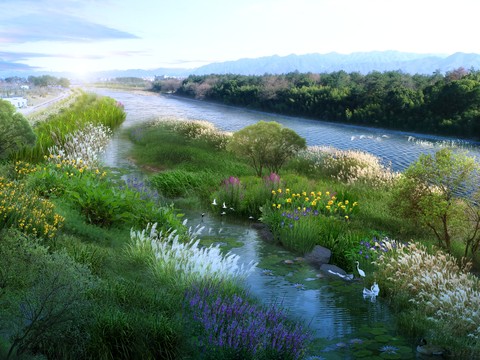 modern wetland garden bird's-eye view psd