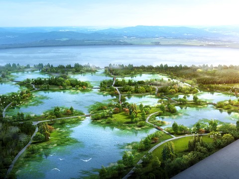 modern wetland landscape psd