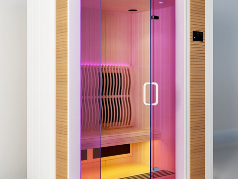 Modern sauna room dry steam room