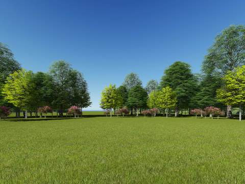 modern lawn big tree trees landscape tree psd