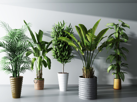 Modern potted plant combination