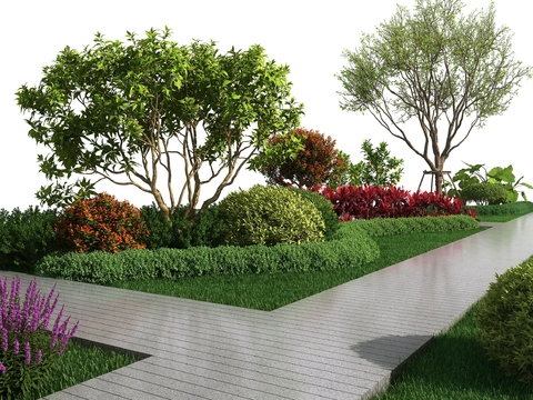 Modern walkway green plants shrubs flowers and plants