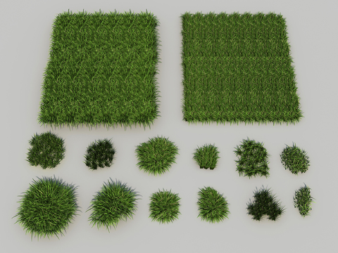 Modern weed lawn