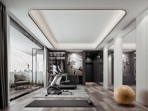 Modern Casual Balcony Gym