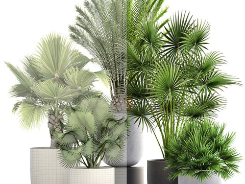 Modern plants potted free