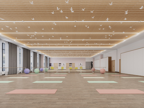 Dance Room Yoga Studio