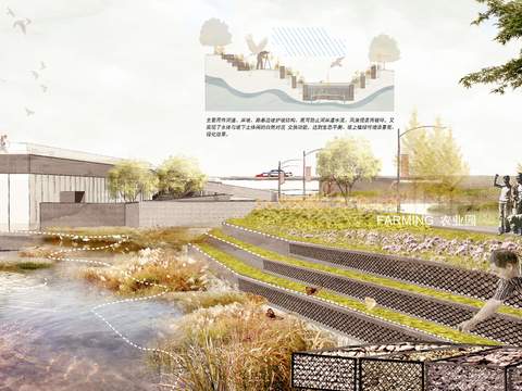 modern wetland agriculture garden psd