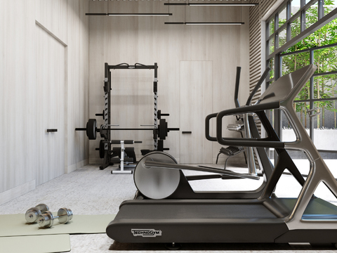 Modern minimalist home improvement gym