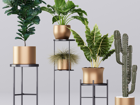 Modern potted plant combination