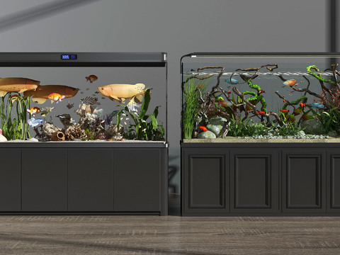 Modern aquarium aquarium combination