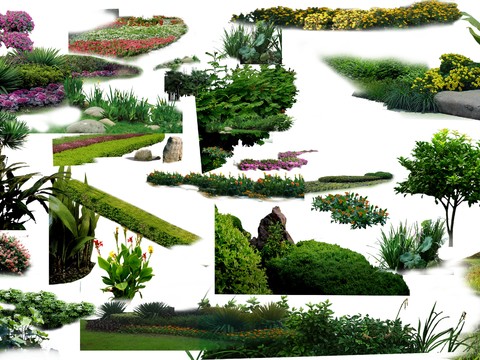 modern big tree landscape tree bushes psd