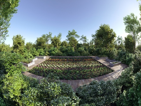 Vegetable field Vegetable garden Orchard Crops