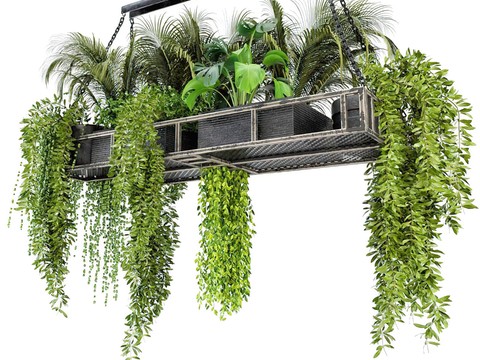 Modern Green Plant Hanging Basket