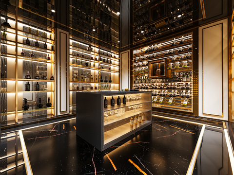 Modern Affordable Luxury Style Wine Cellar