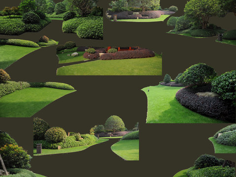 modern landscape tree big tree bushes psd