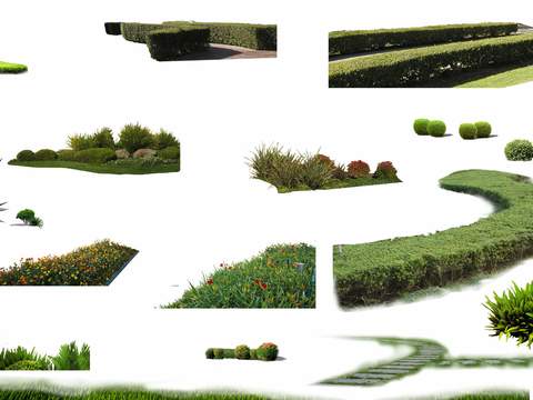 modern bush Plants psd