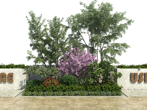 Modern Greening Shrub