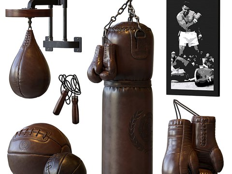 Modern Leather Sandbag