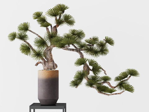 New Chinese potted pine ornaments