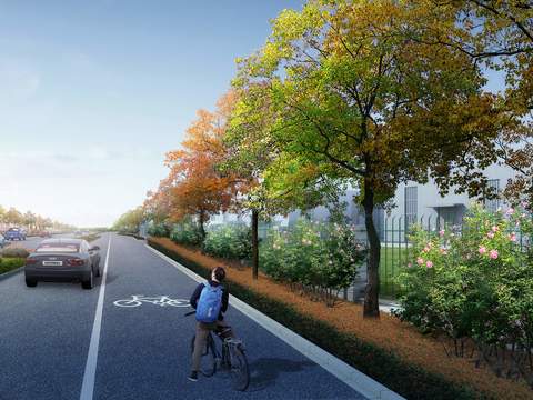 urban road green belt single lane psd