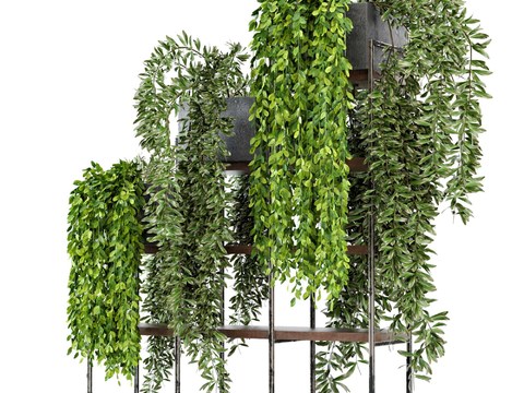 Vine Plant Rack Hanging Basket Pot