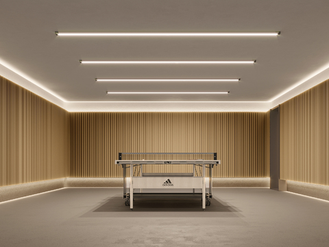 Modern Simple Table Tennis Room