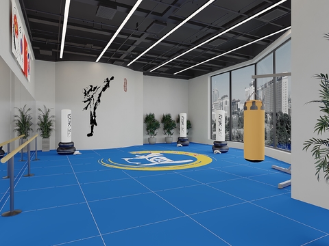 Modern Taekwondo Hall