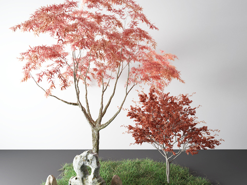 Japanese-style red maple rockery stone sketch