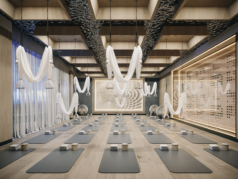 Modern Yoga Studio