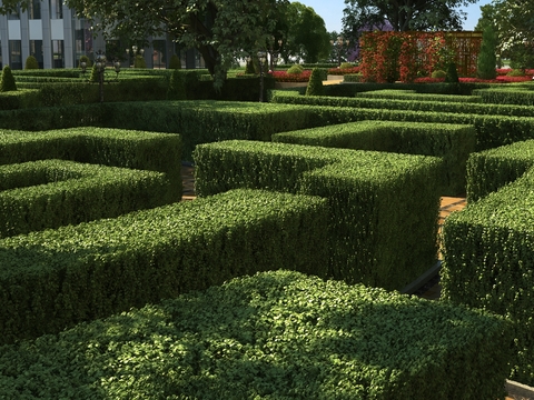 Plant Labyrinth Tree Wall