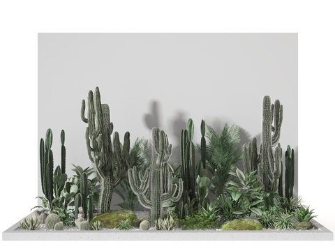 Modern cactus landscape sketch