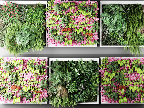 Modern floral succulents wall