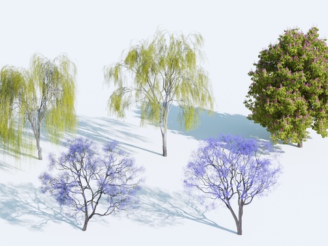 weeping willow jacaranda landscape tree