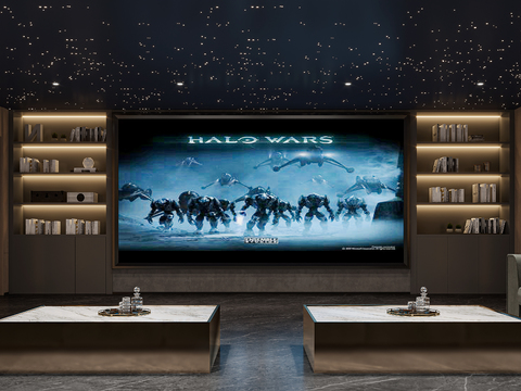 Home Theater Video Room