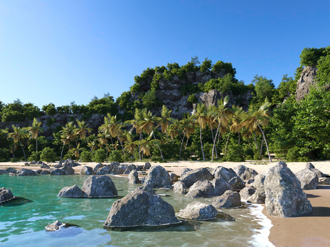 Beach landscape coconut tree landscape stone