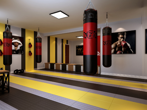 Modern boxing gym free