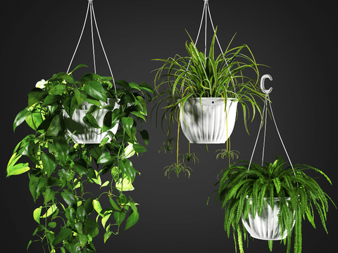 Modern Green Plant Hanging Basket Pot