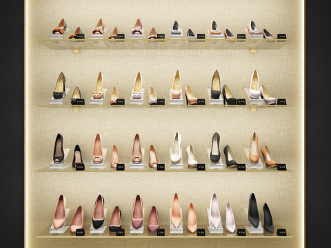 modern women's shoes shelf