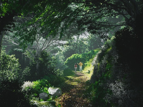 Natural wind forest path landscape