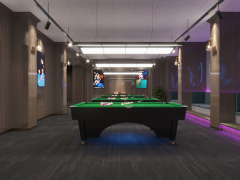 Modern Billiard Room