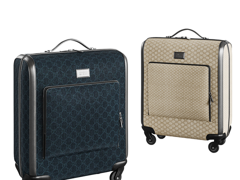 Modern trolley luggage case