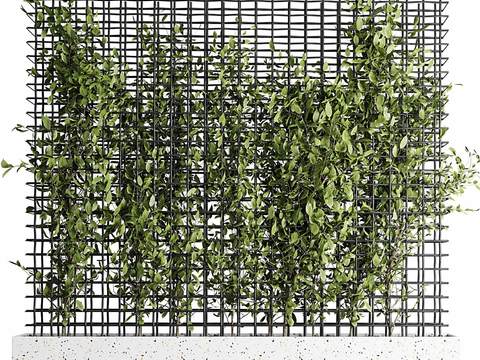 Modern Plant Landscape Vine Climbing Vine Plant Wall